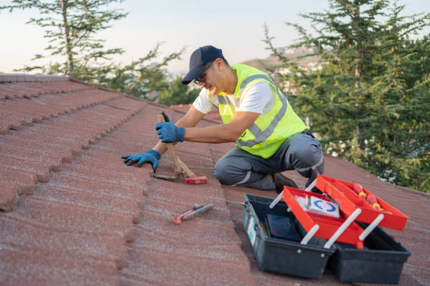 Best Roof Maintenance Services  in Telford, PA