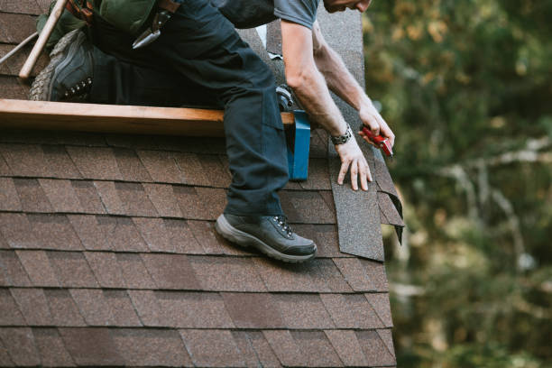 Best Roof Gutter Cleaning  in Telford, PA